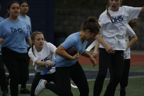 Rough & Tough Powder Puff