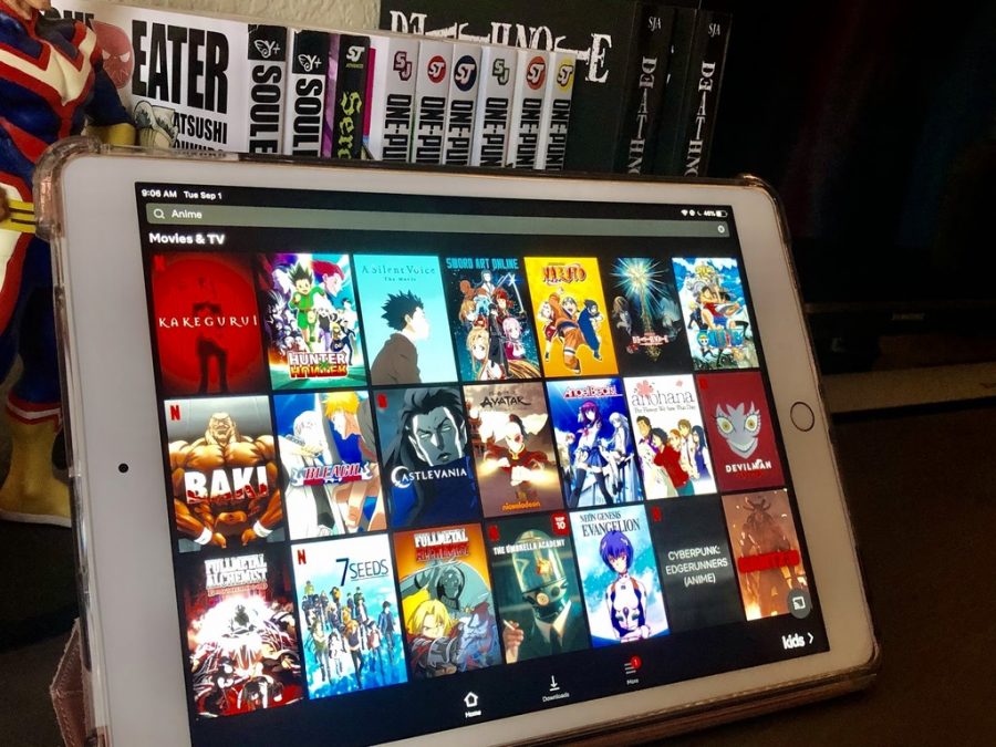 With so many different anime choices on Netflix, anyone can find one that they like.
