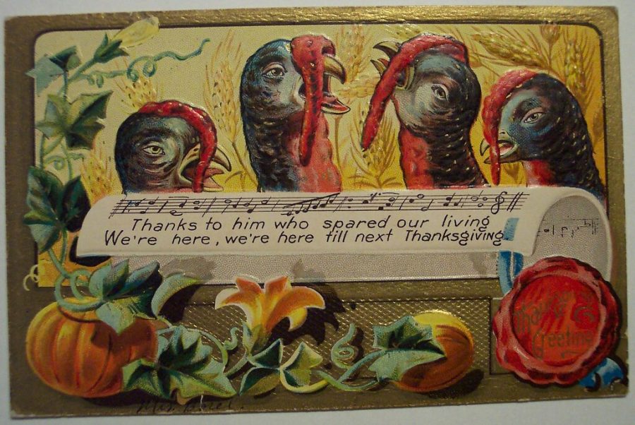 A+vintage+postcard+expresses+the+Thanksgiving+experience+for+turkeys+during+the+holiday.