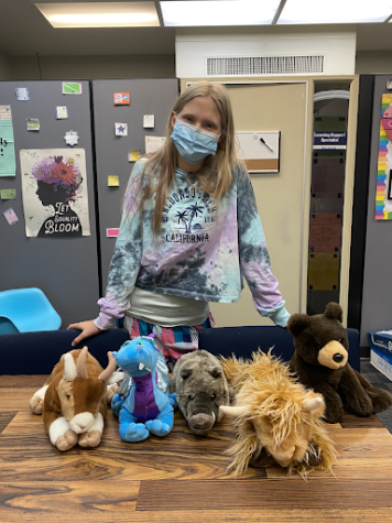 Therapy pets that Elena Wells has provided for the school’s wellness center.
