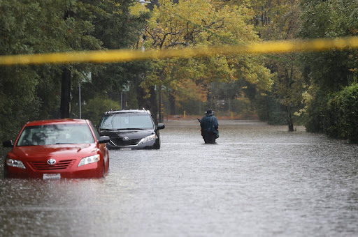 The disastrous scenery of the “Bomb Cyclone,” with the flooding, yet the trees have never been greener.