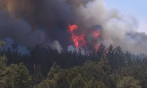Image of Foresthill Fire.