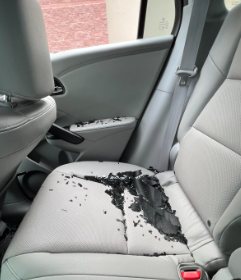 Aftermath of our rental car being broken into.