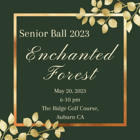 Seniors officially received their theme announcement of Enchanted Forest on Tuesday, March 31.
