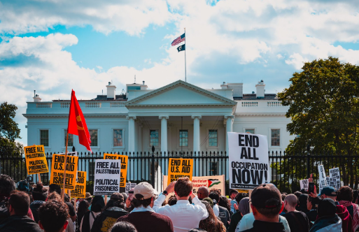 Pro-Palestinian protest outside of the White House, Washington D.C.

PC: Wikipedia
