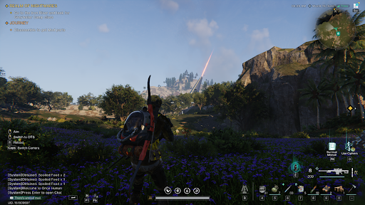 A screenshot taken in game.
