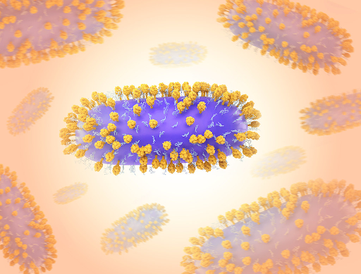 A photo of the Respiratory Syncytial Virus bacteria. PC: Flickr
