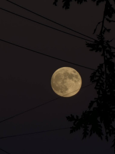 This photo was taken of a close up of the full moon on a night near the Autumn Equinox.
