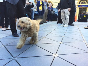 Piezoelectric tiles utilized by foot traffic in an urban environment. PC: Pavagen’s